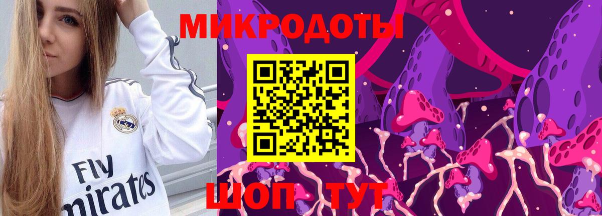 Шадринск  Галлюциногенные грибы MAGIC MUSHROOMS  купить наркотик  Вход с VPN 