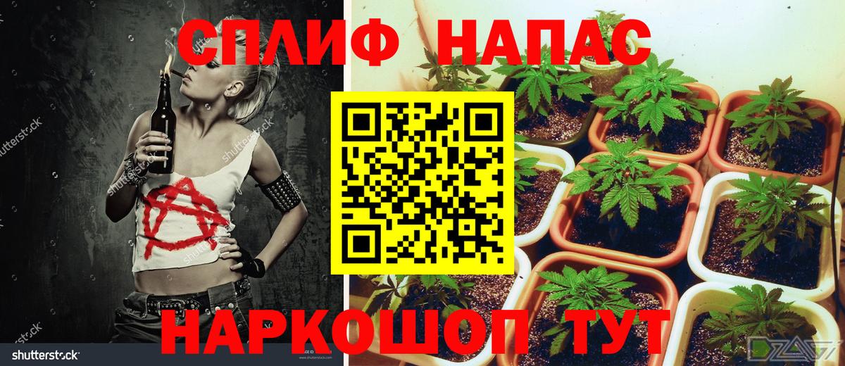 МАРИХУАНА сатива Шадринск